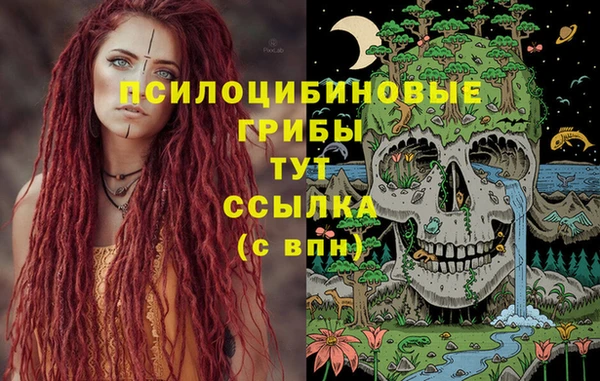 ПСИЛОЦИБИНОВЫЕ ГРИБЫ Алзамай