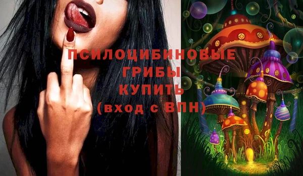 mix Сатка