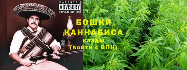 ПСИЛОЦИБИНОВЫЕ ГРИБЫ Алзамай