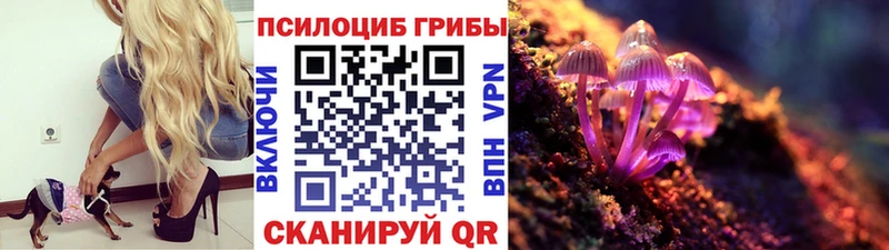 Галлюциногенные грибы мицелий  даркнет сайт  Курганинск 