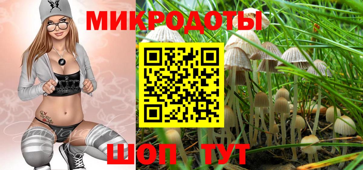 Курганинск  Псилоцибиновые грибы мухоморы  Вход с VPN 
